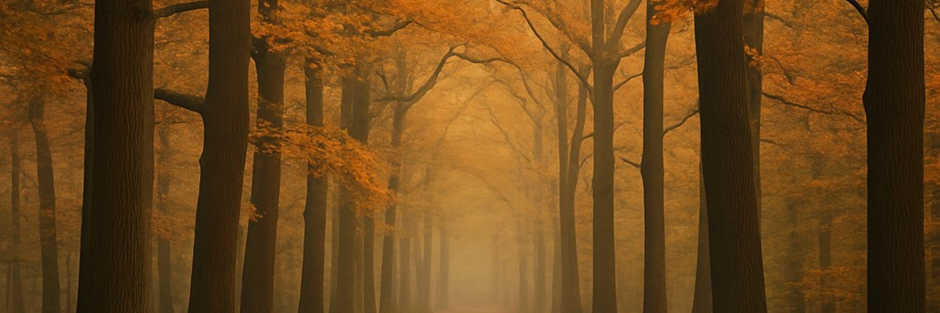 De Prins van Liesbos