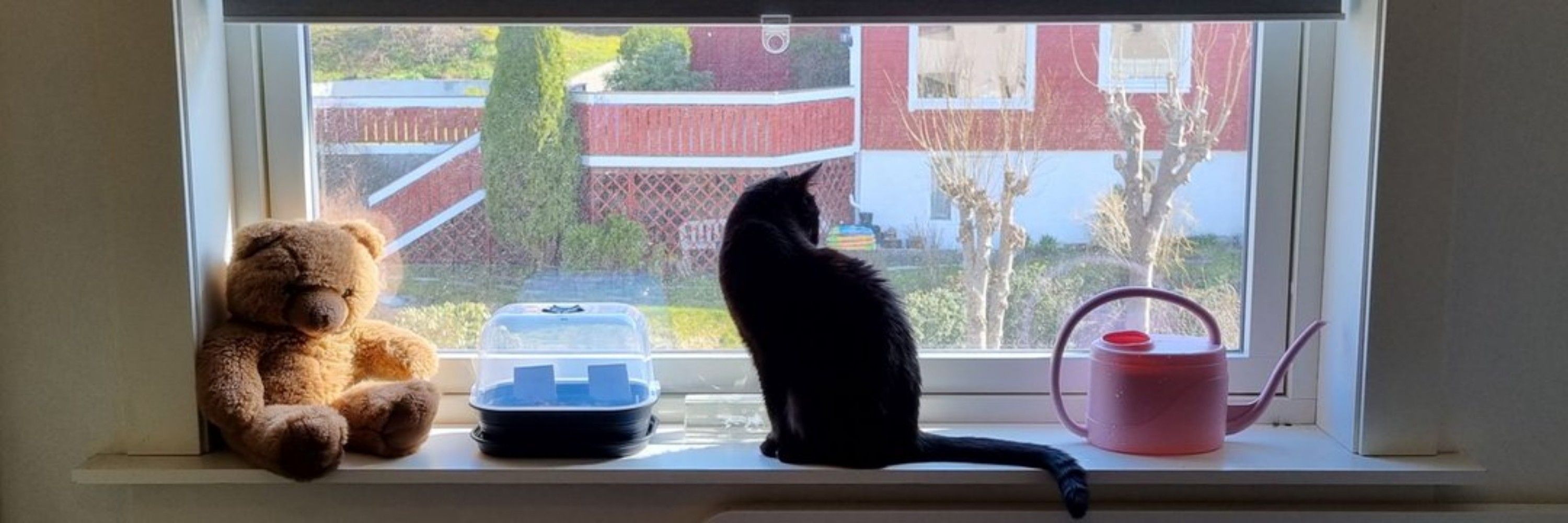 Mikael