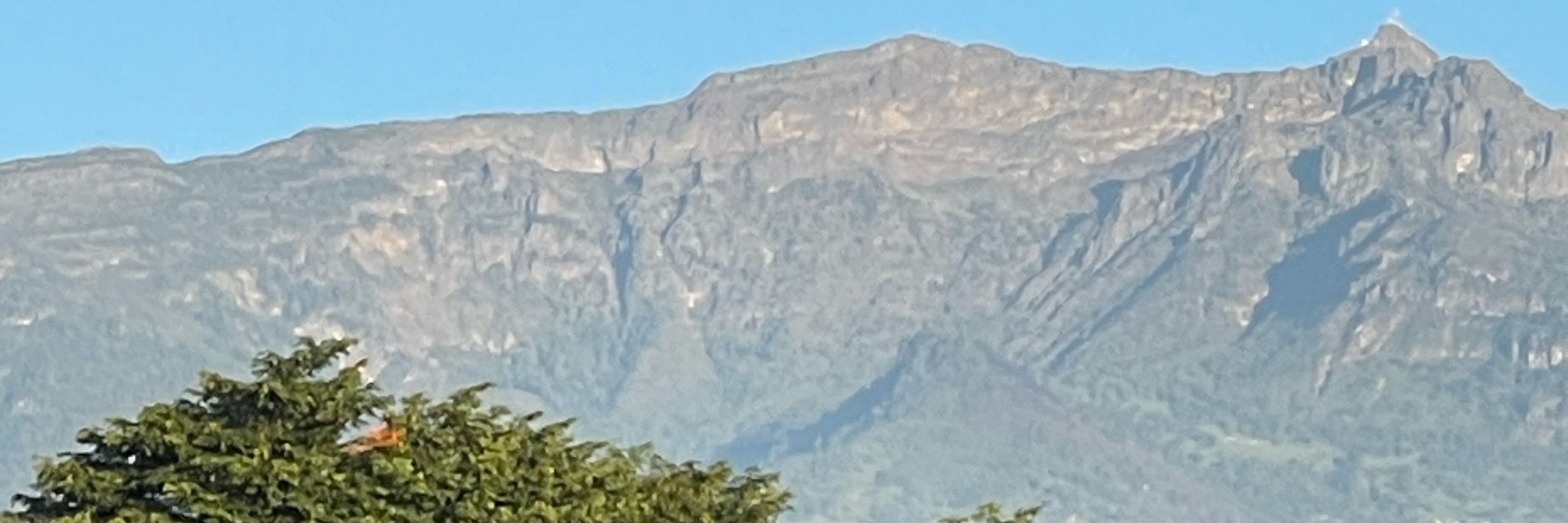 Esta Montano