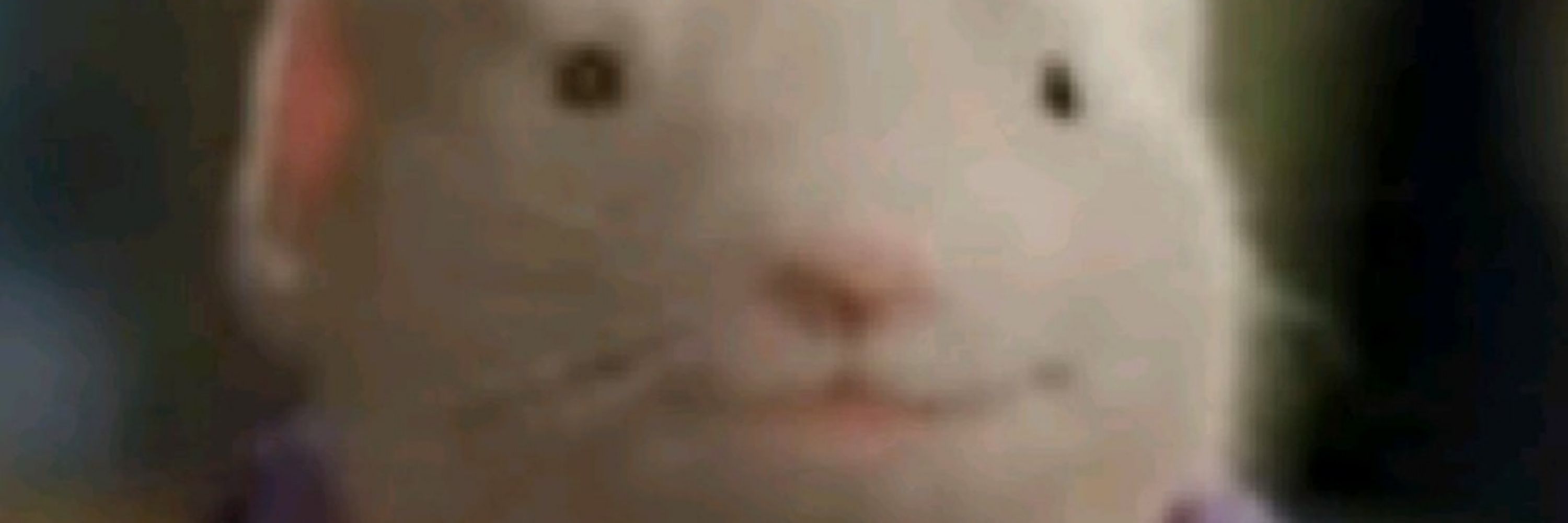 Poffsama