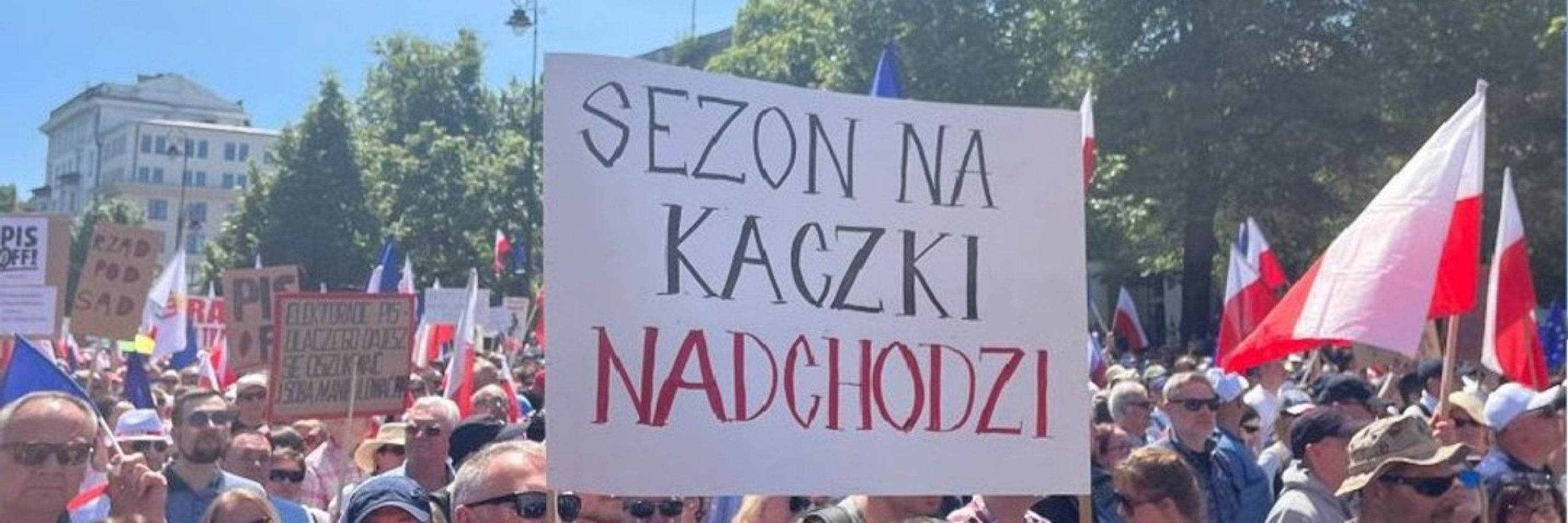 Pit - 8 gwiazdek z nieba.