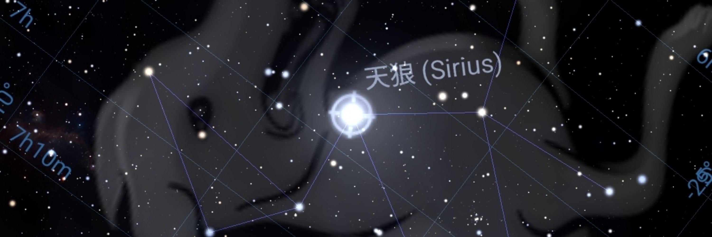 Solanium