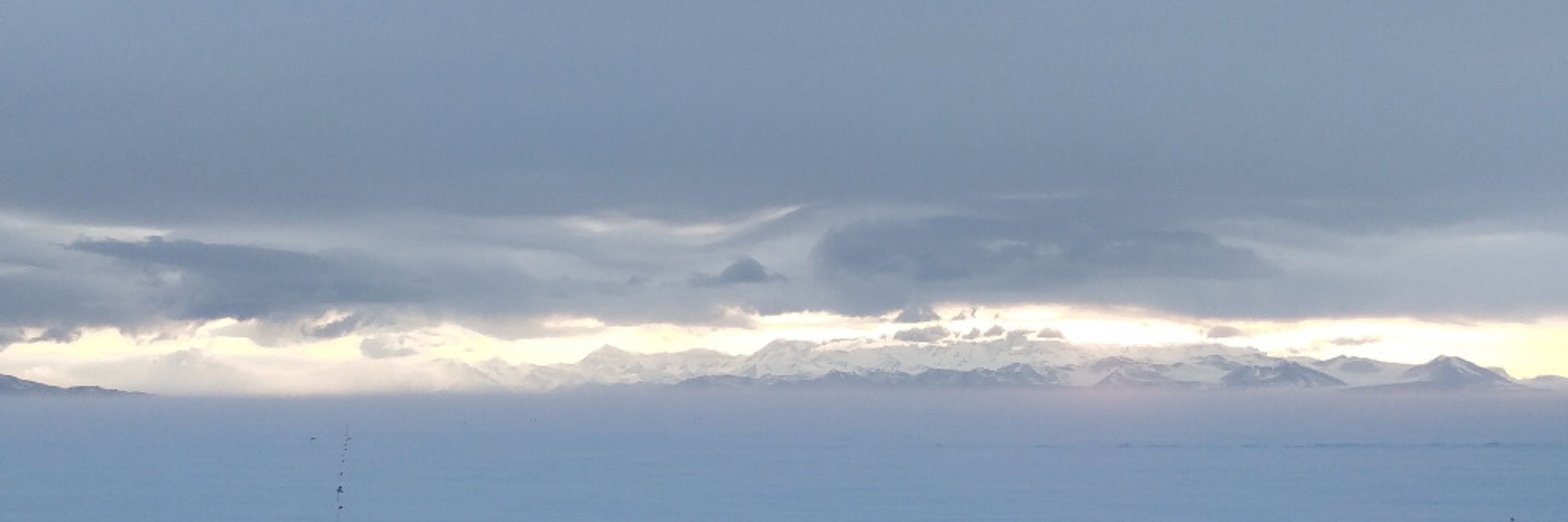 Izzy in Antarctica 
