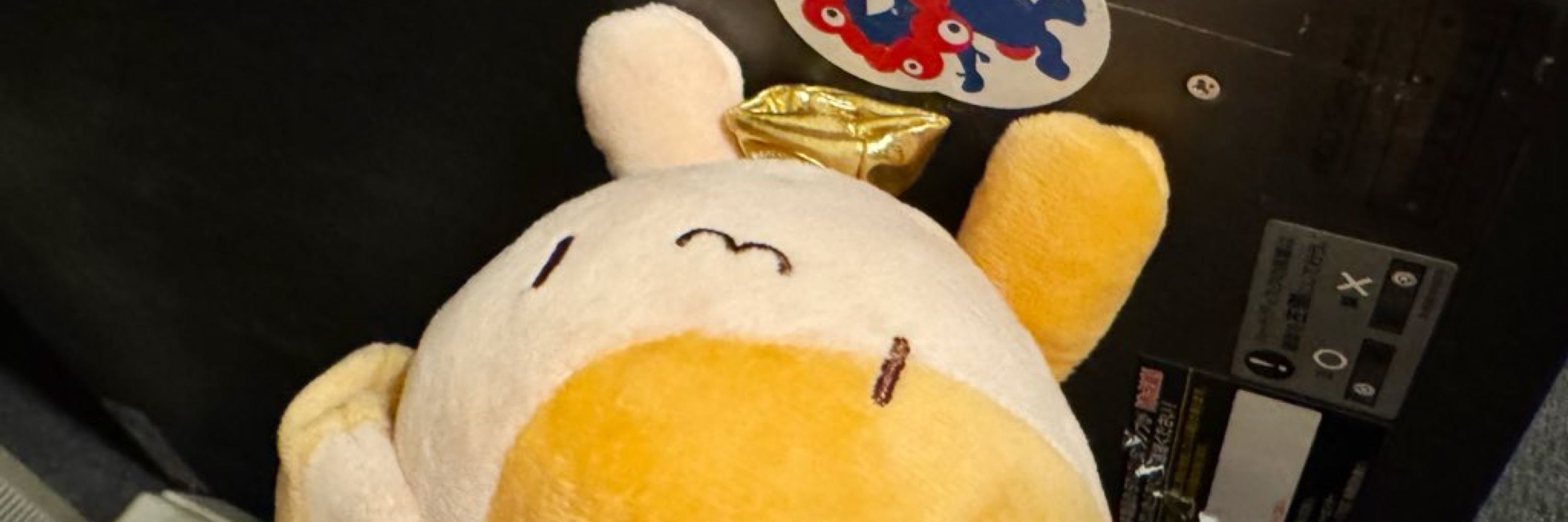 めうるむ ましま