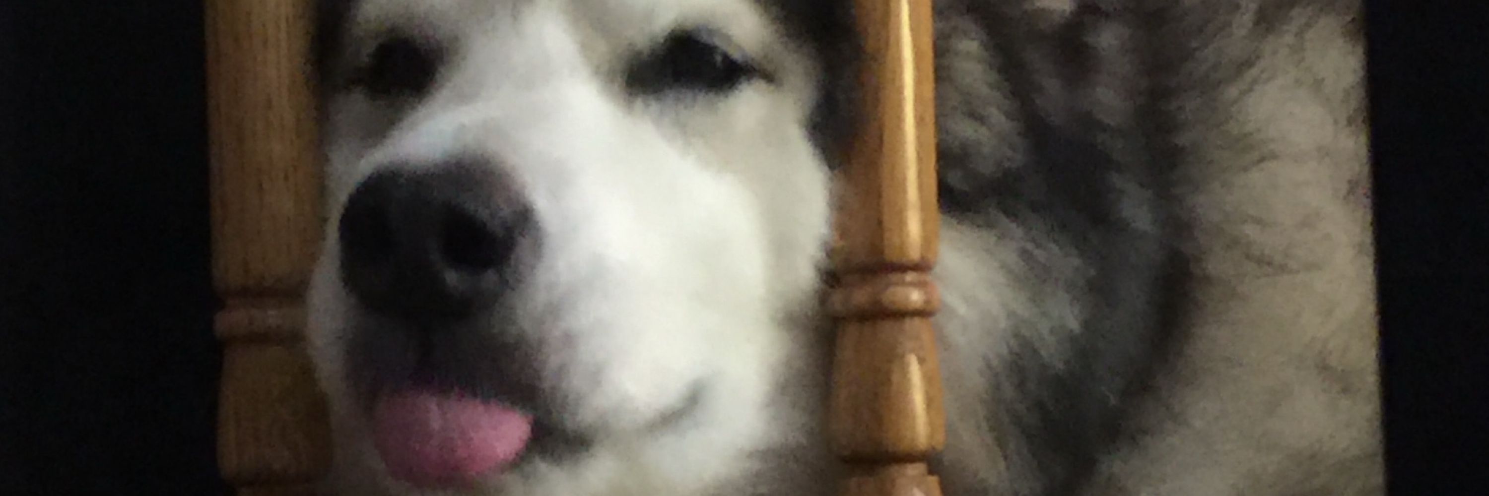 Jon15136