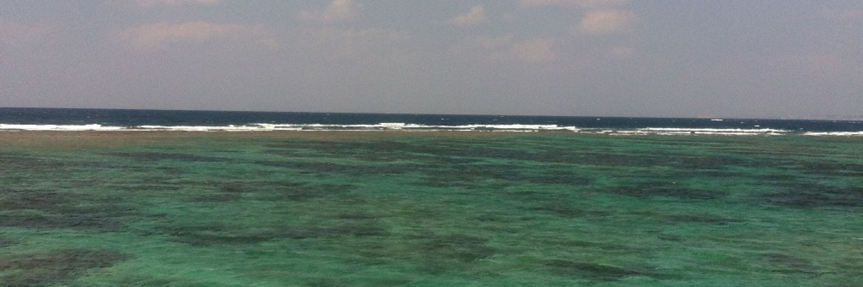 Ryulong