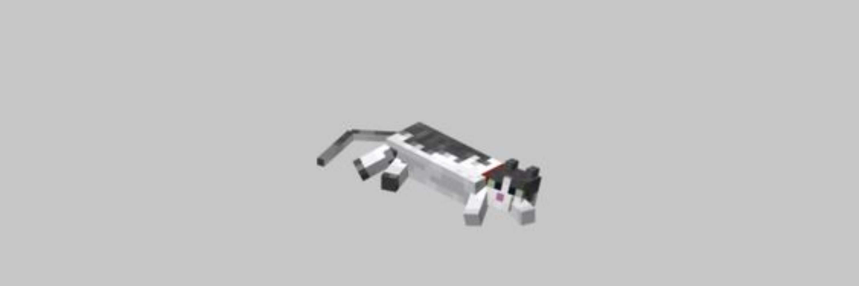gatos bot