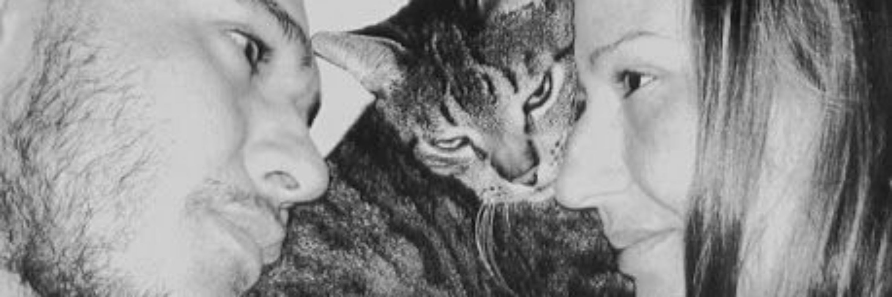 Sasa 