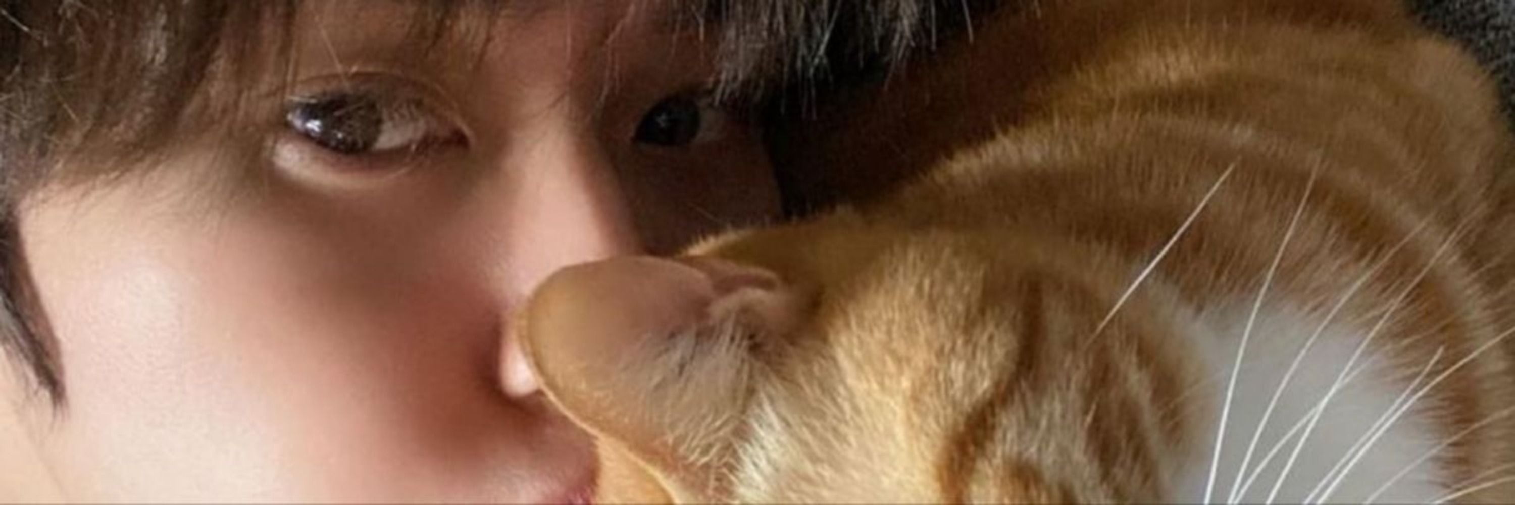 Hannah vai ver o SKZ | 🦷 —