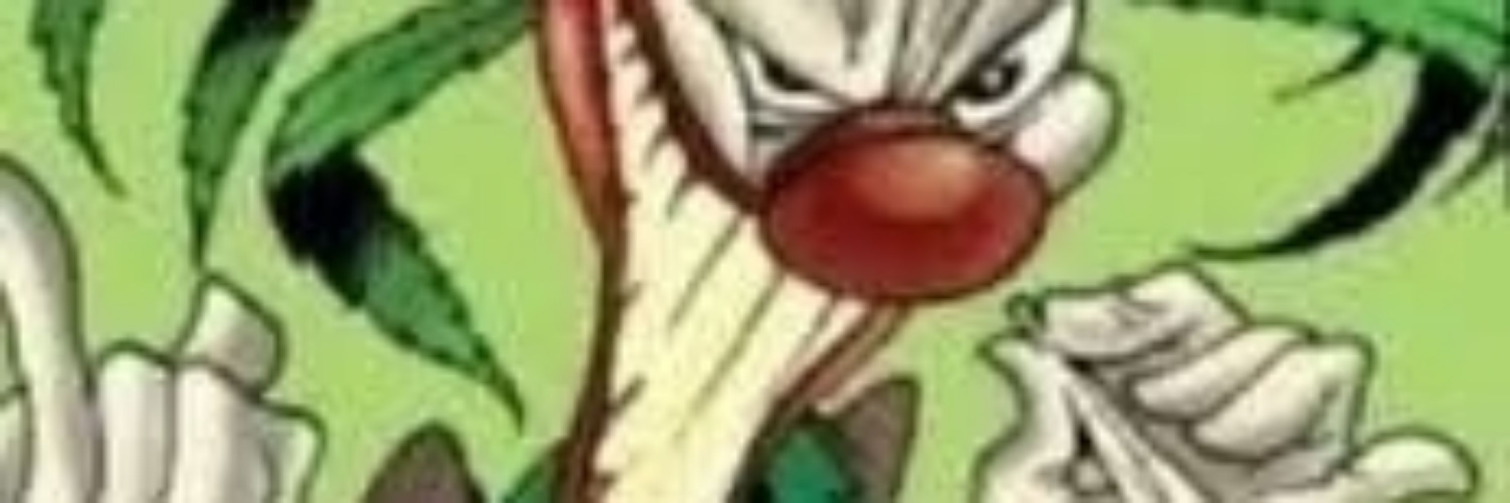 curupikaa