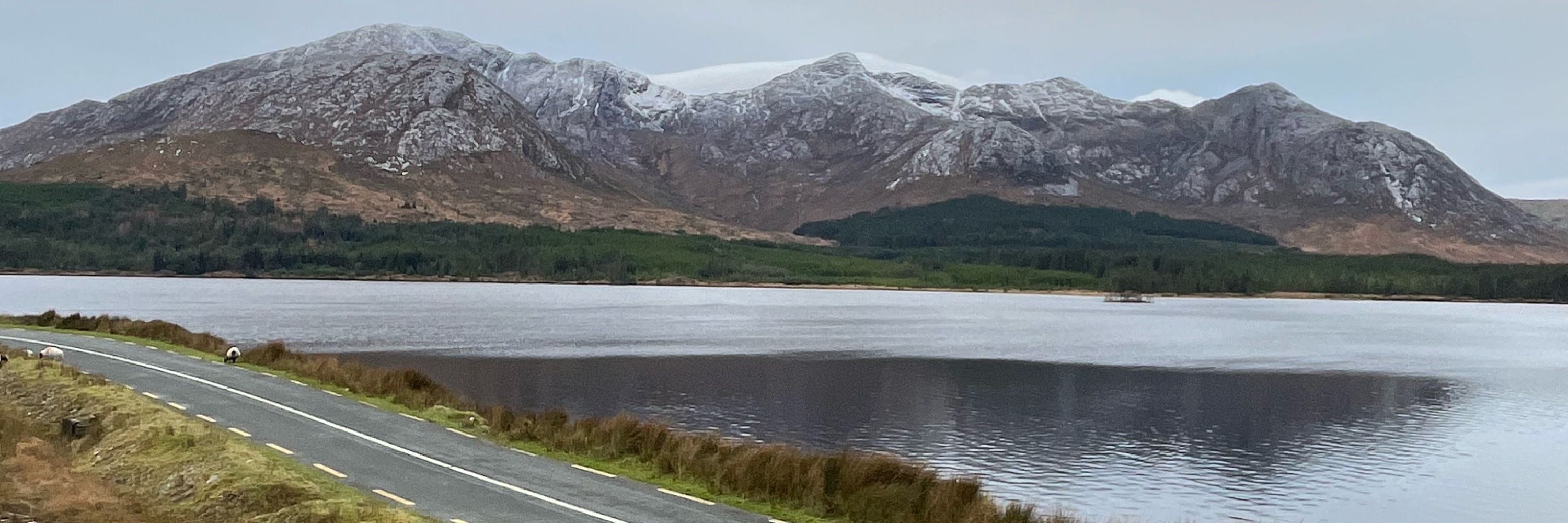 Máirtín Óg Lally