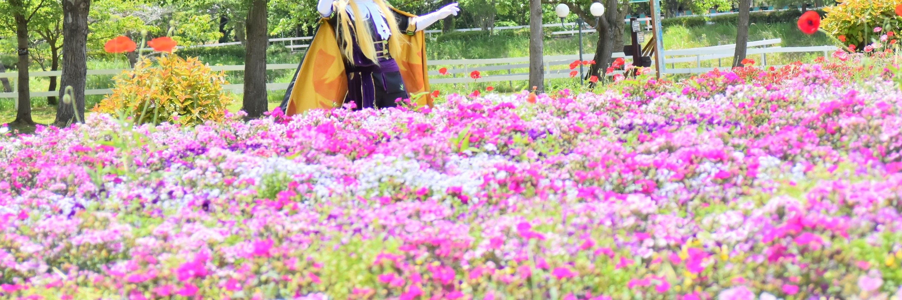 ことう