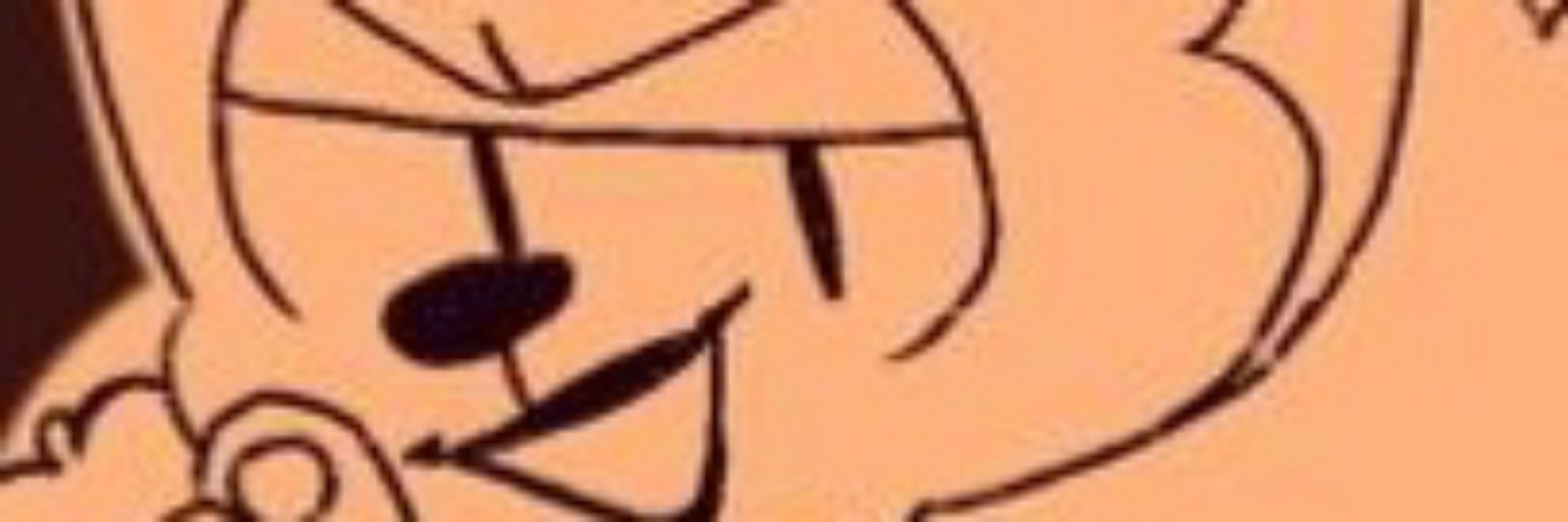 CoCoDraws