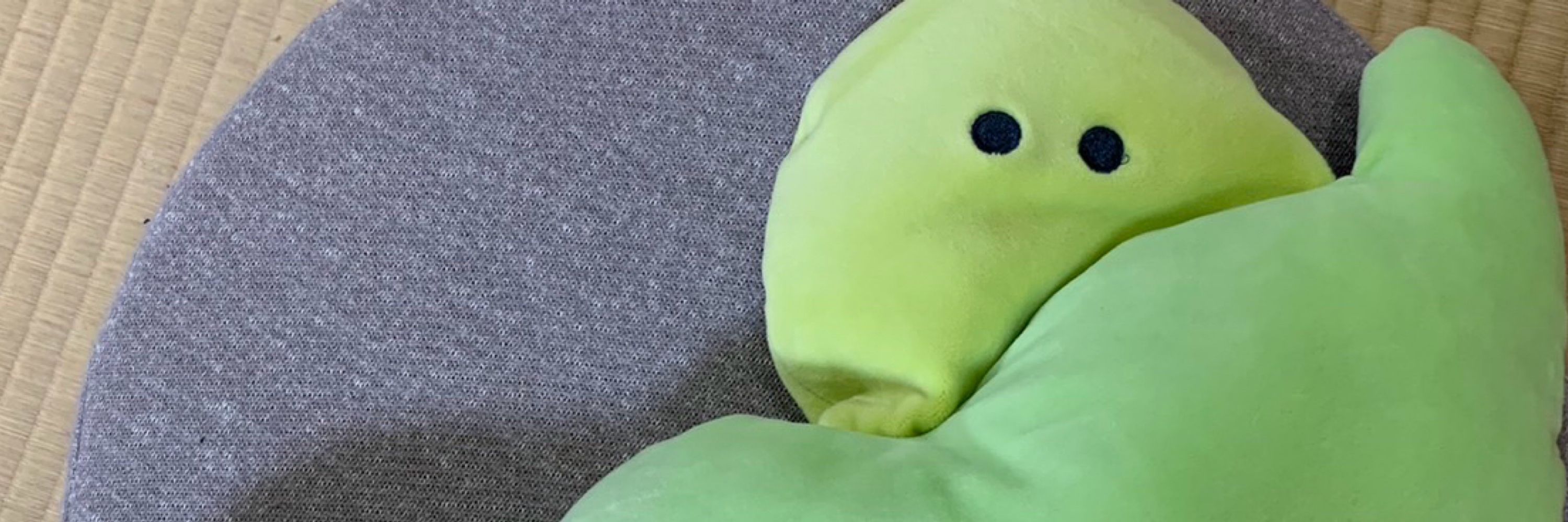 みどりや