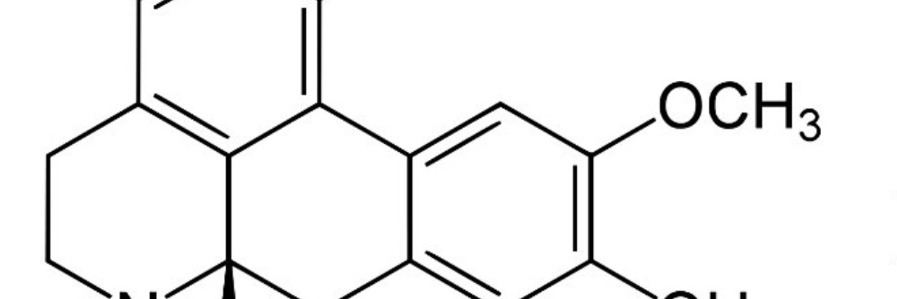 Preston Bobo, Chemgod