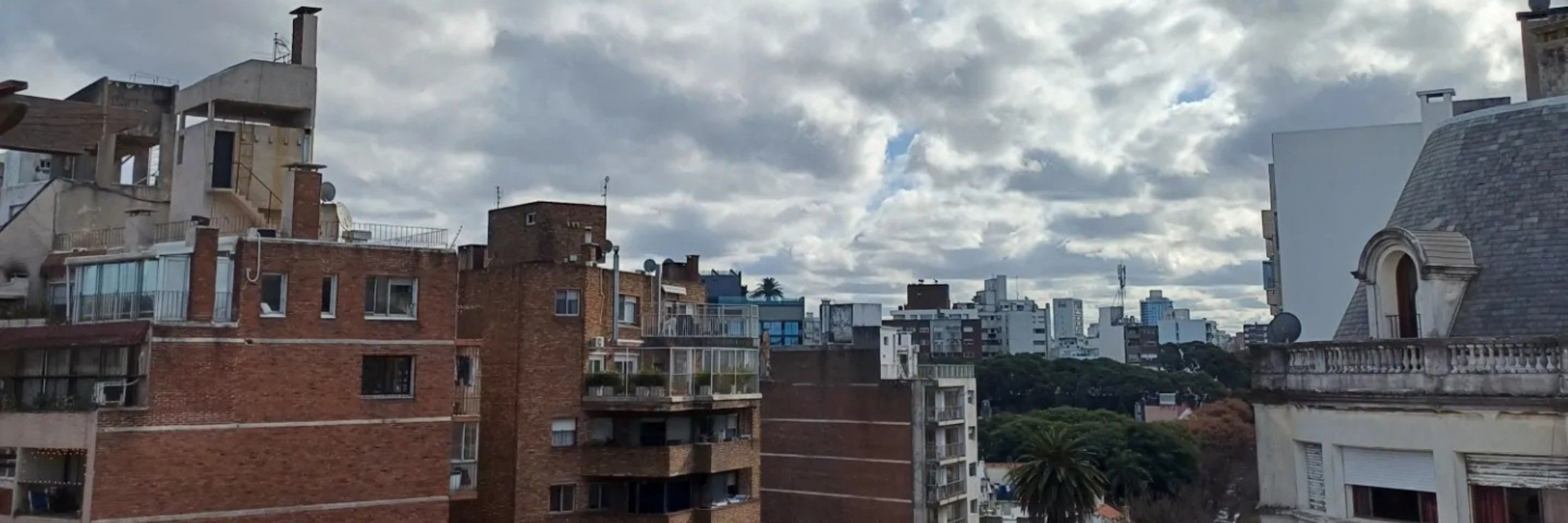 Lelê