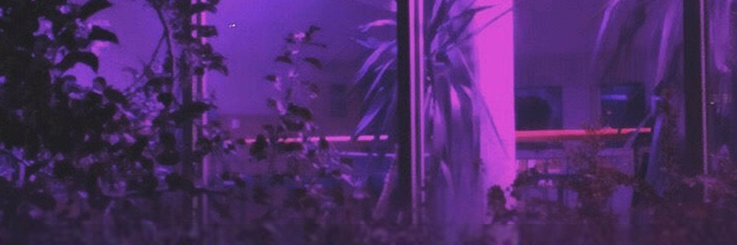 ☾ DISASTERPIECE