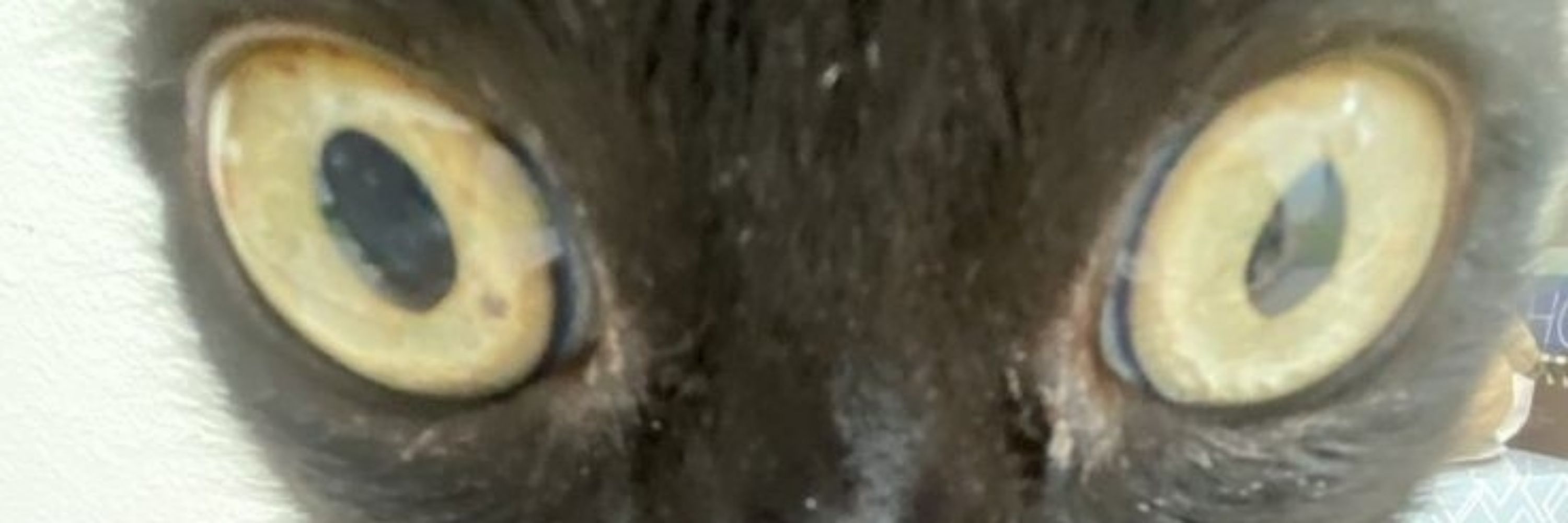 Aaaaa