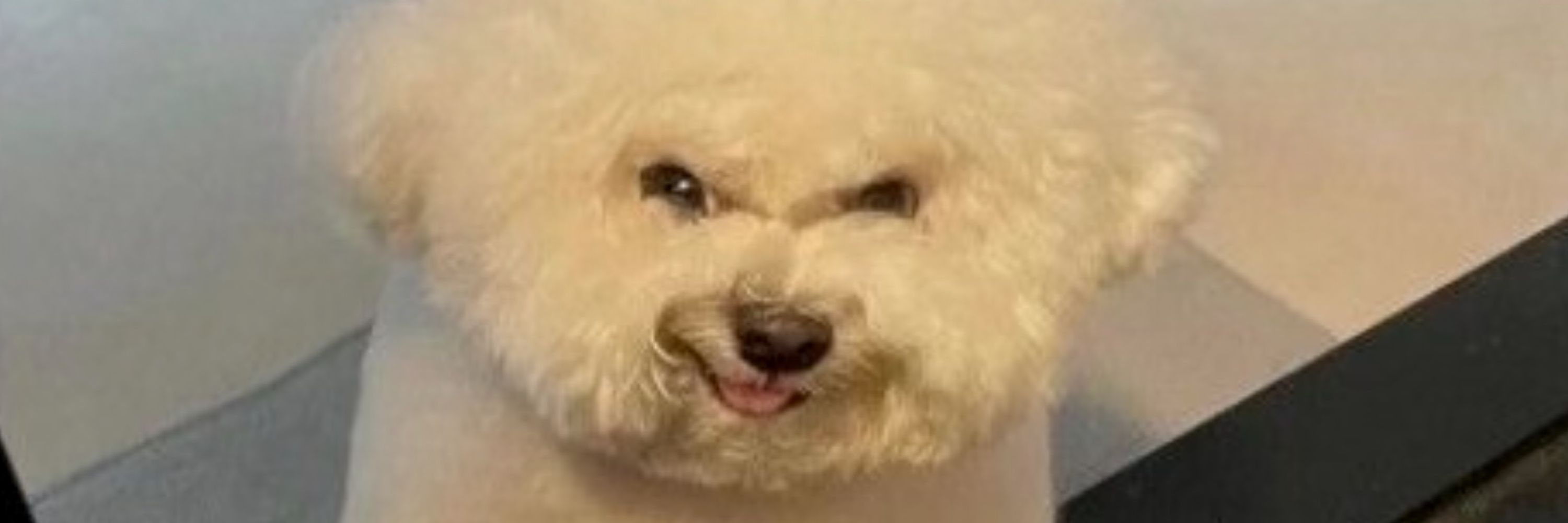 하나랜