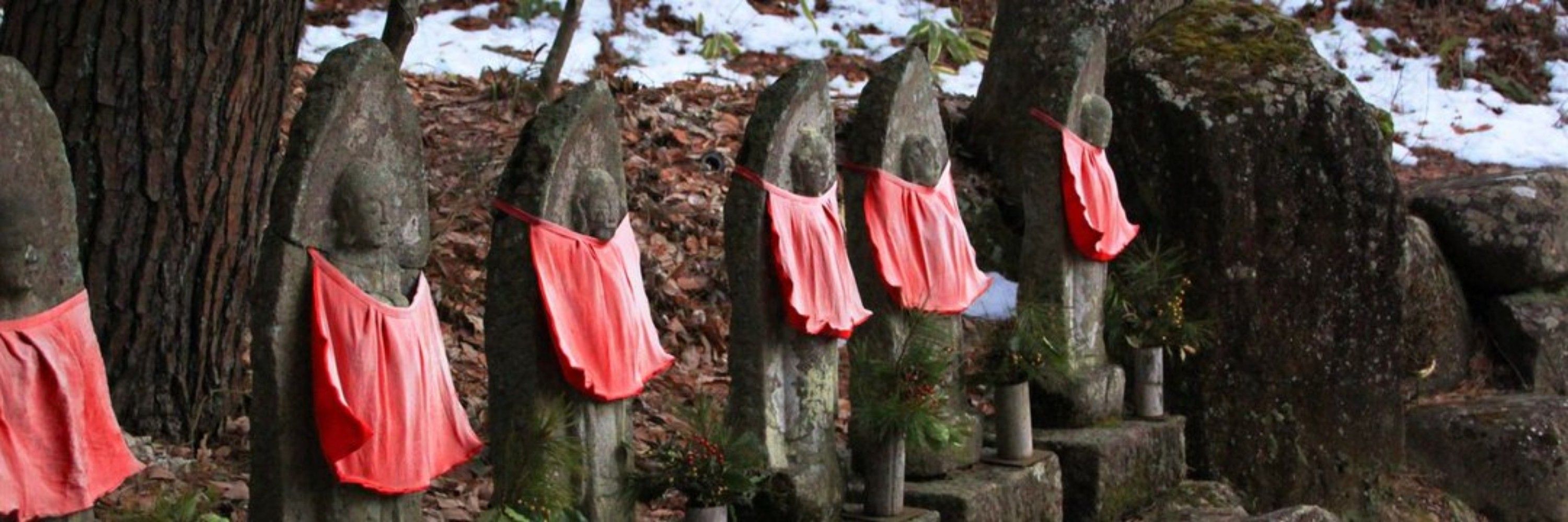かもねぎ