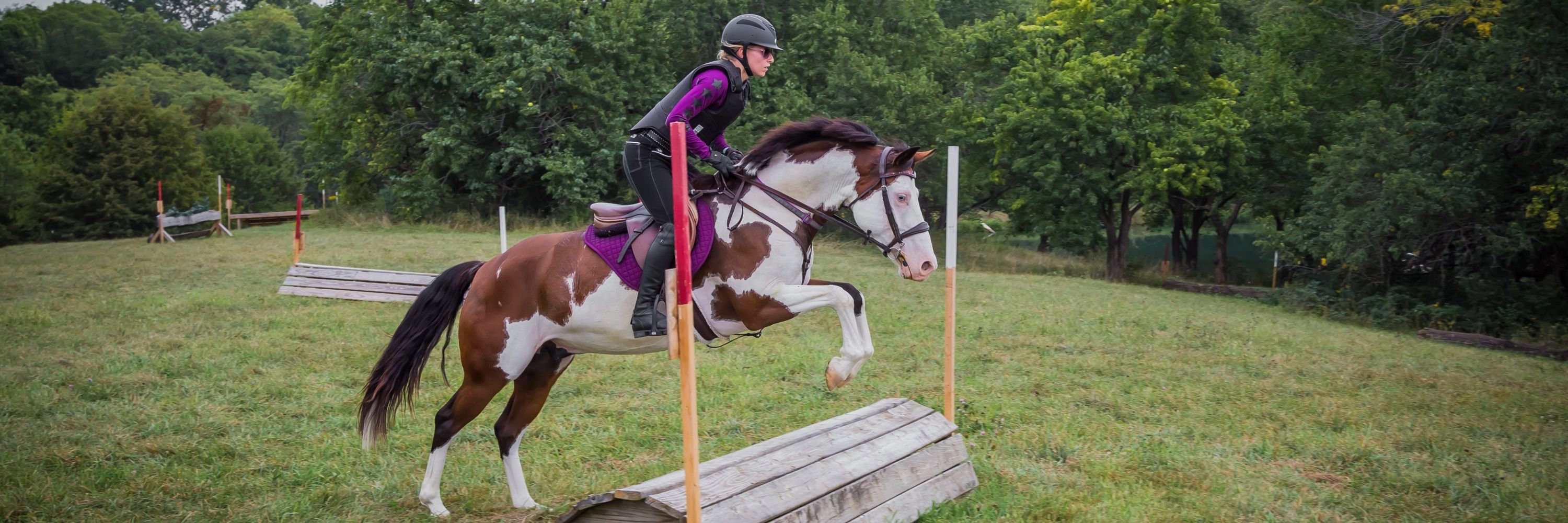 Bridles n Bits
