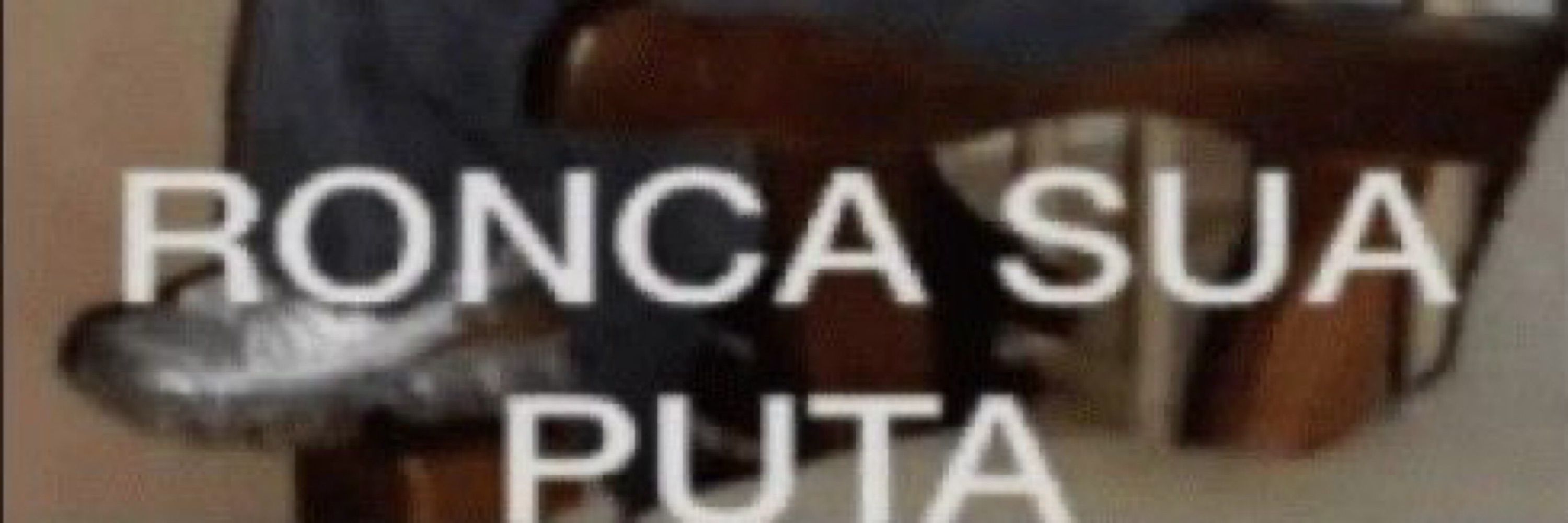 sarinha 