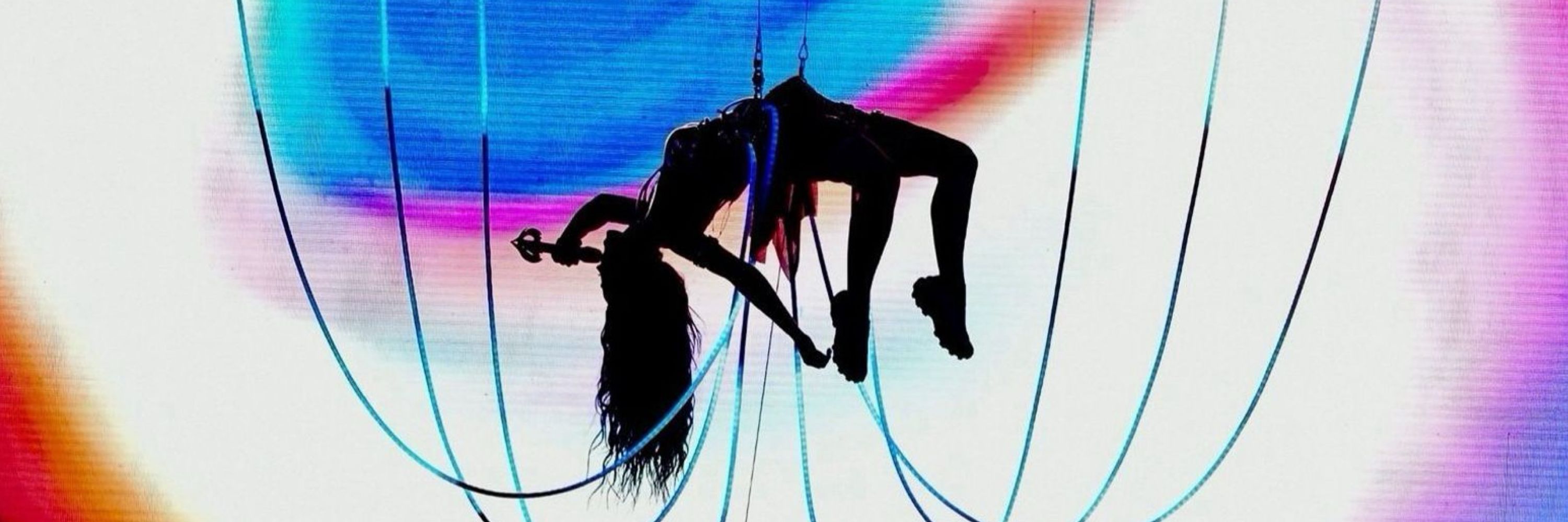 𝖌𝖚 🦋