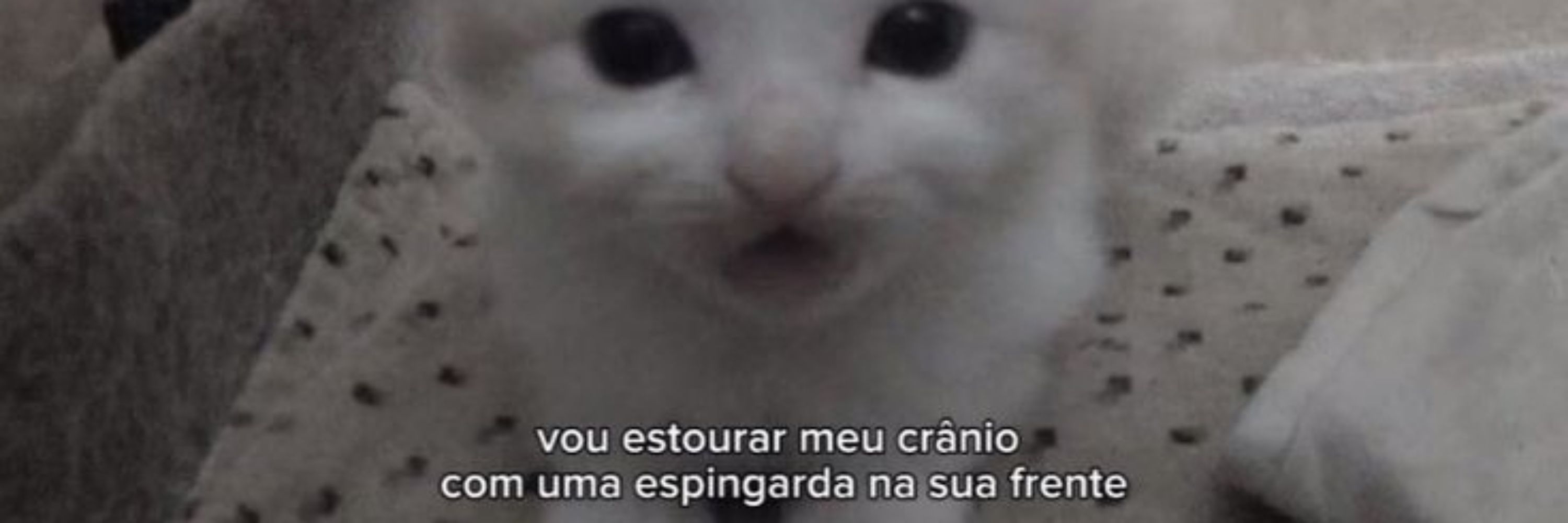 Pires :p