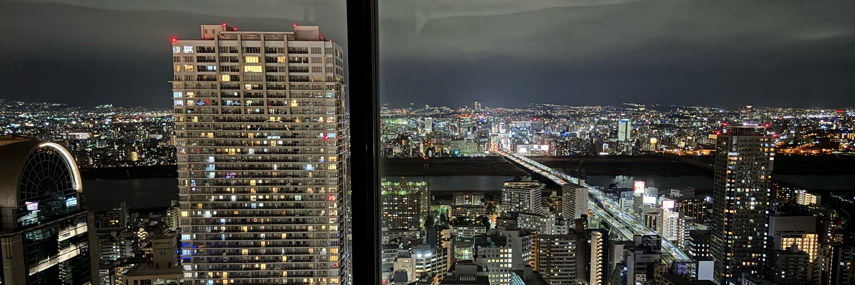 白熊