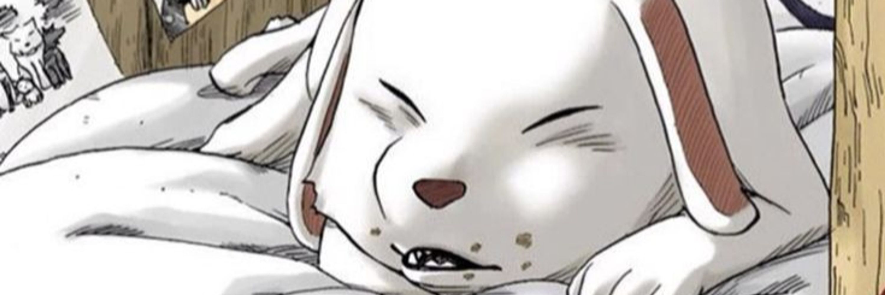 Рoe