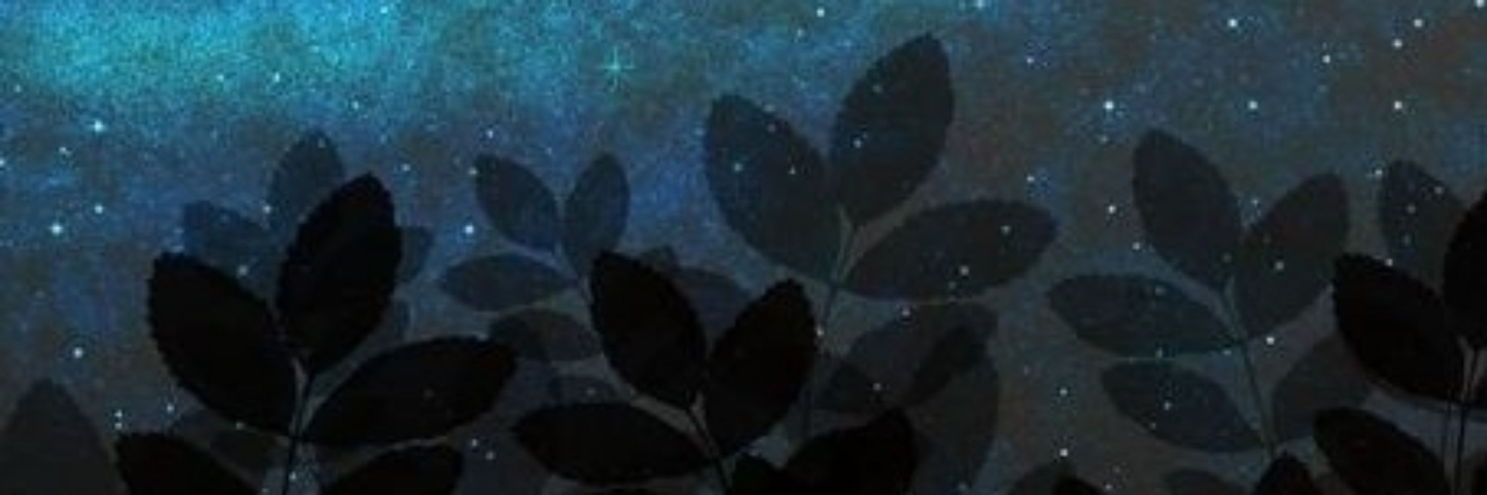 夜塚 希翠