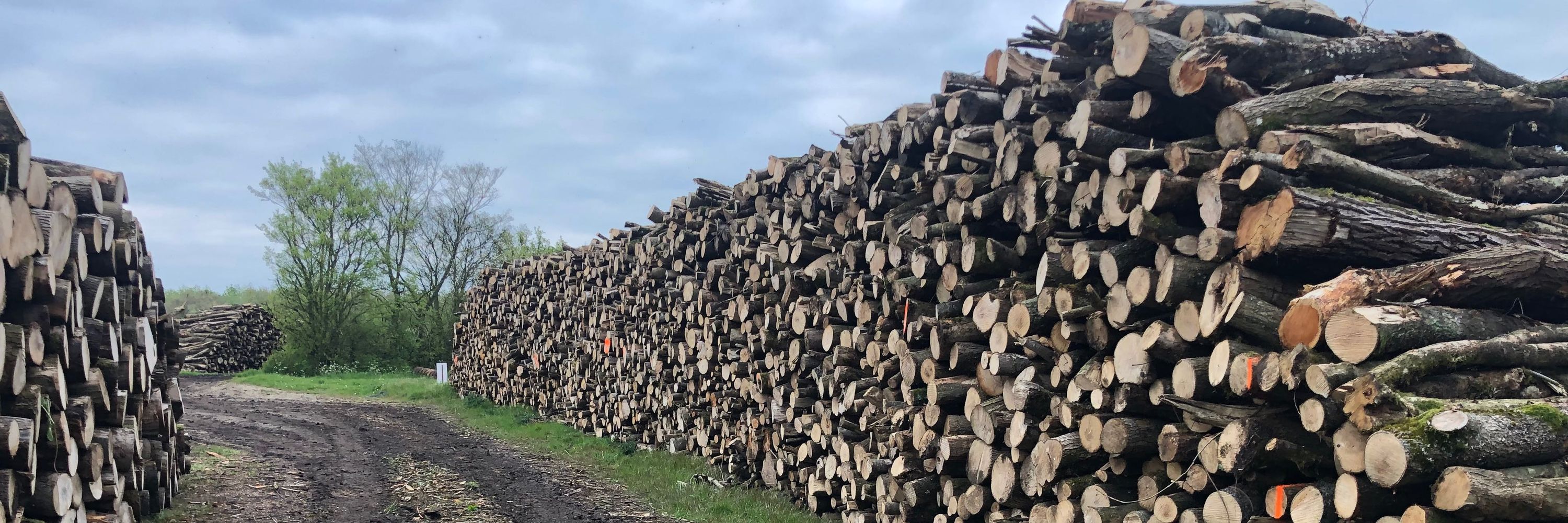 Aspect Forestry and Rural Management