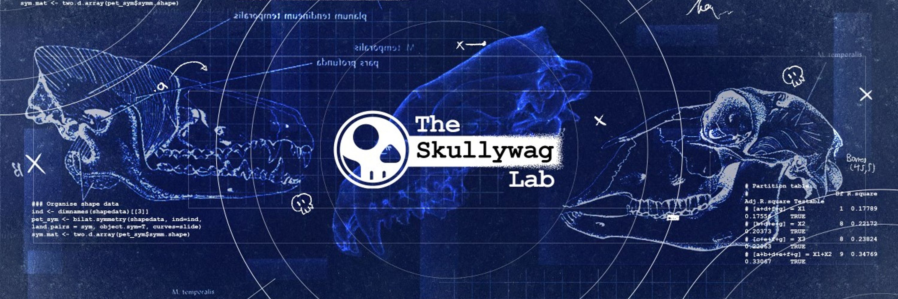 The Skullywag Lab