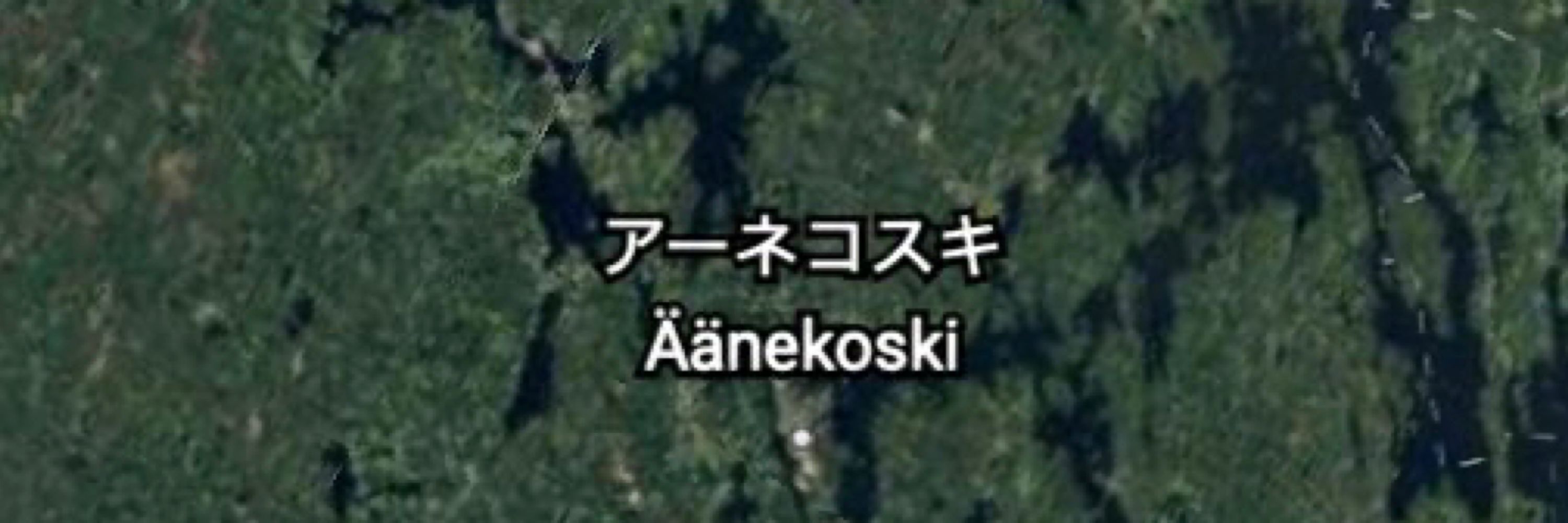 とりとま