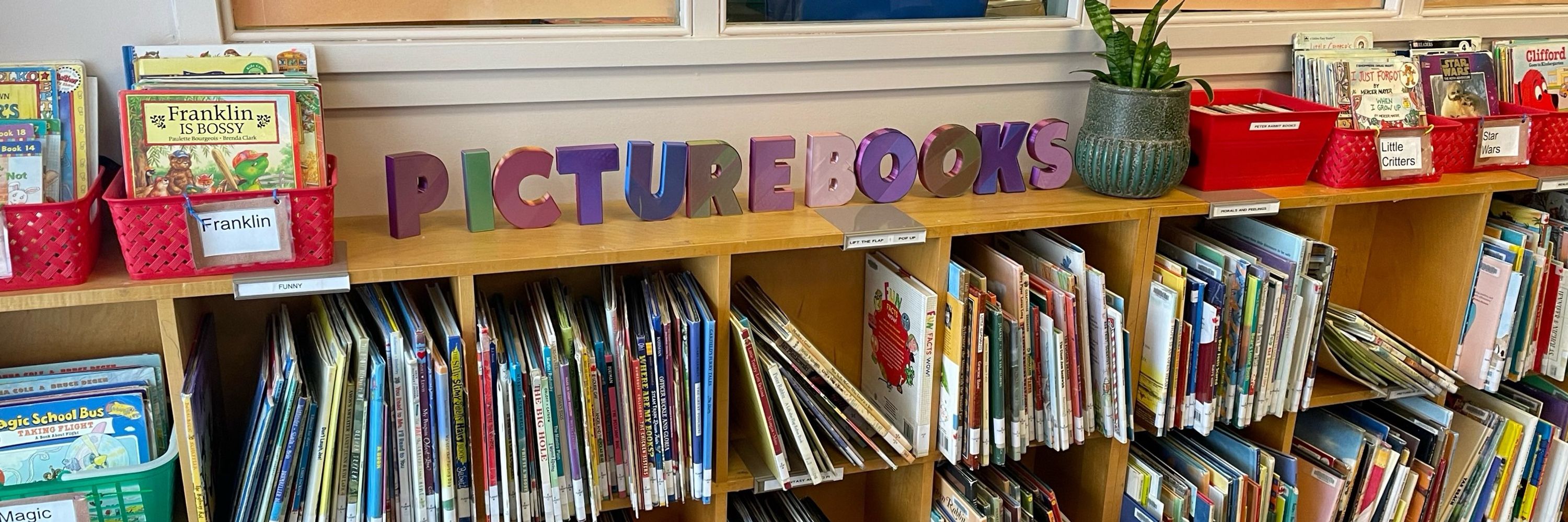 Jenn the library