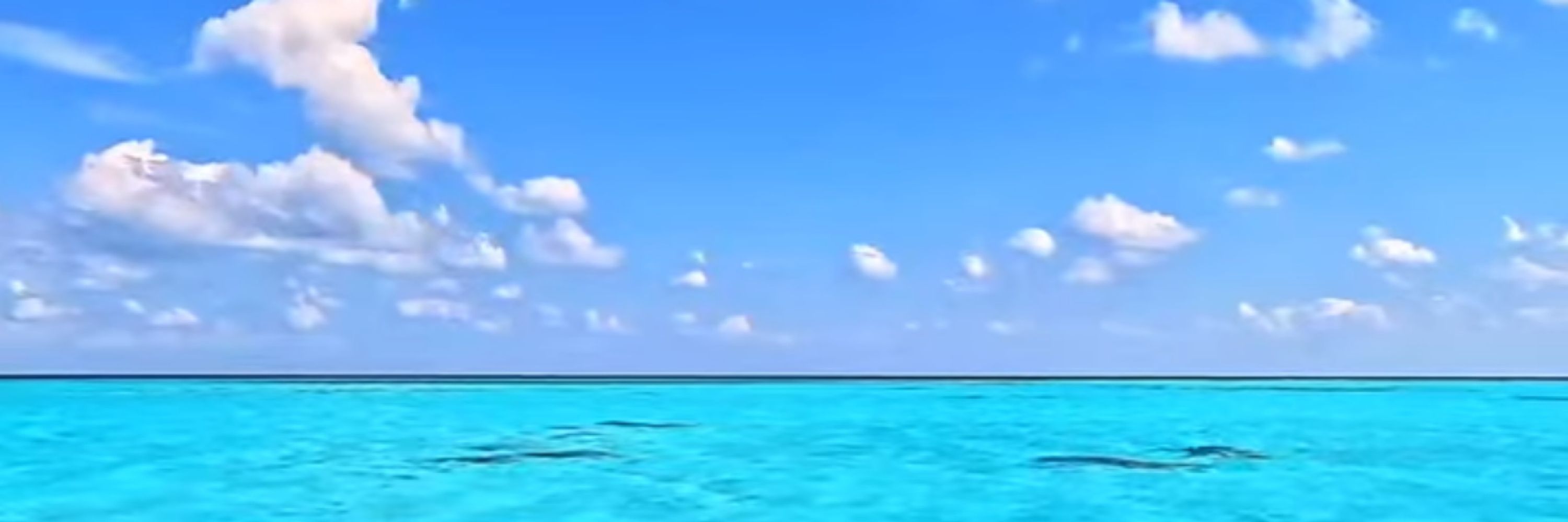 ラビ
