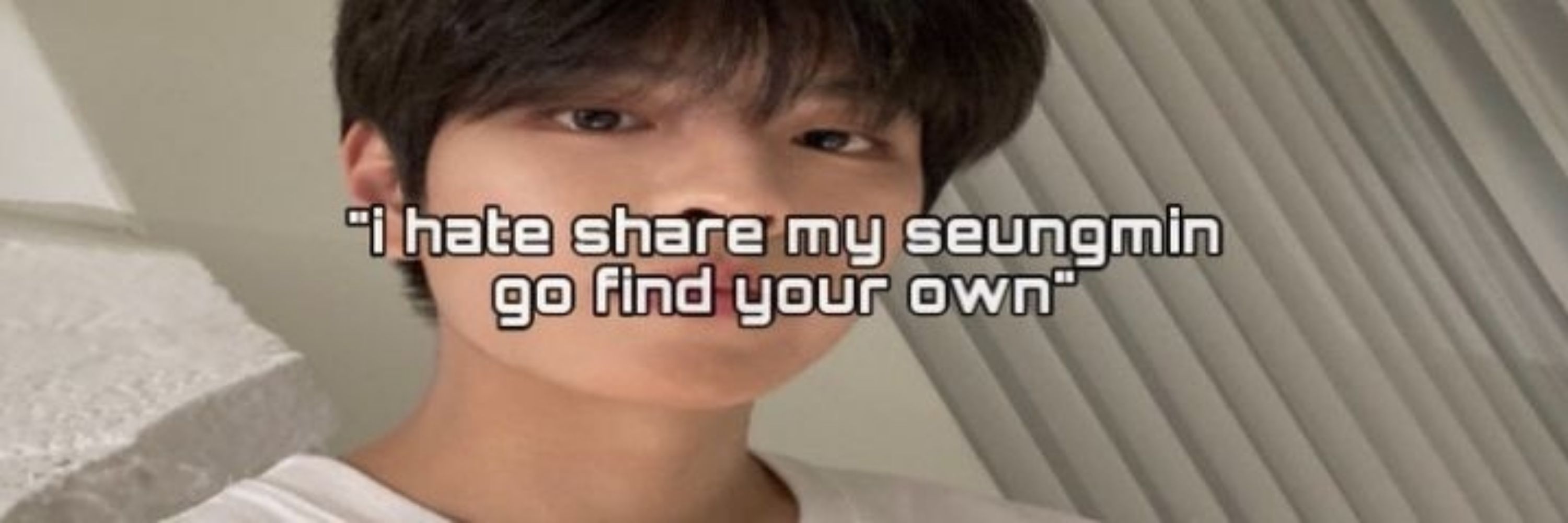 seungmin's girlfriendㅤ
