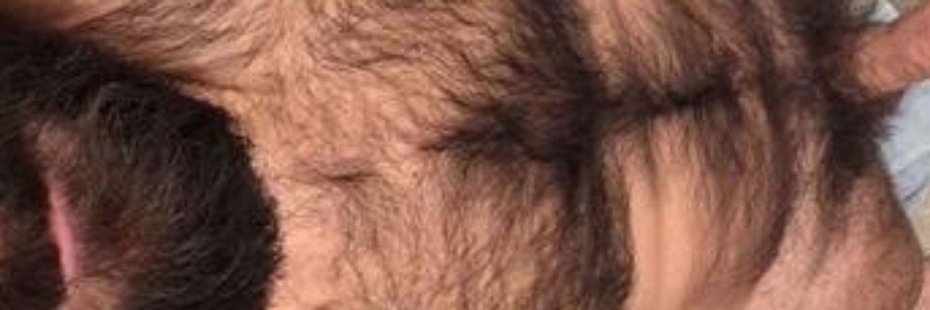 @ursaosafado🐻