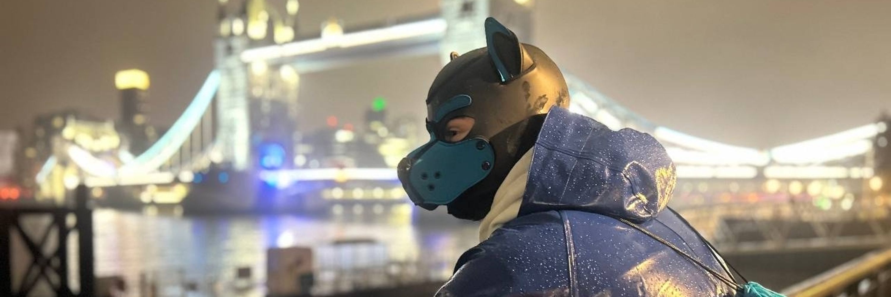 GearPupÆgis