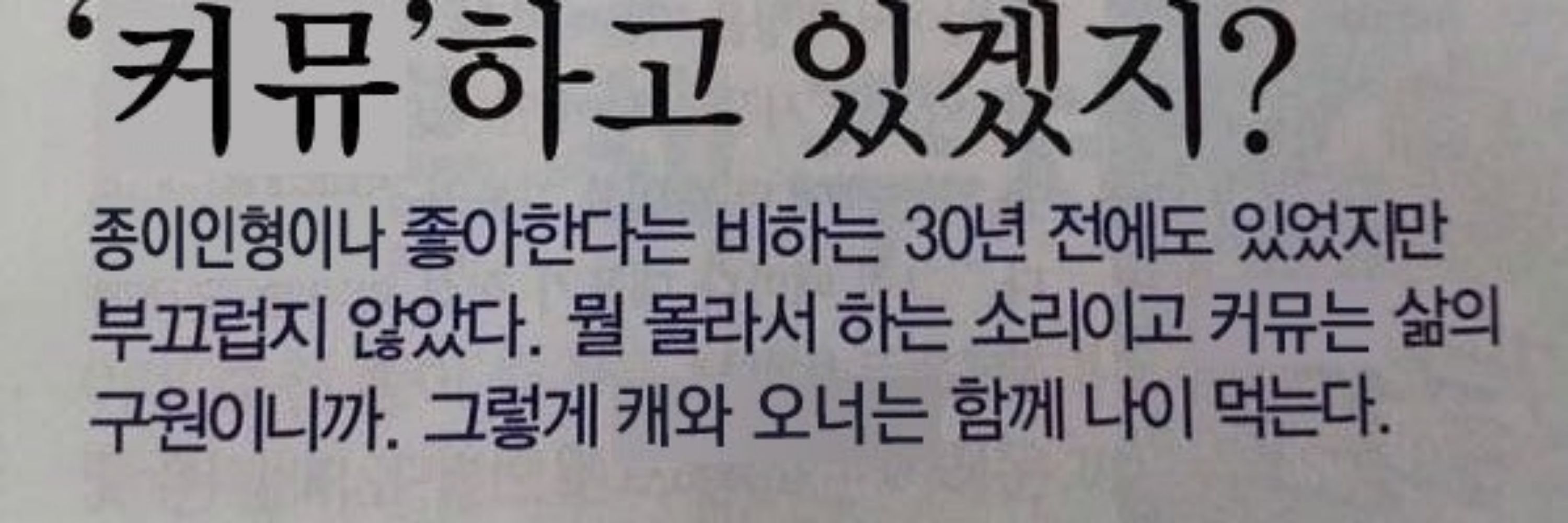 쟝기쟈