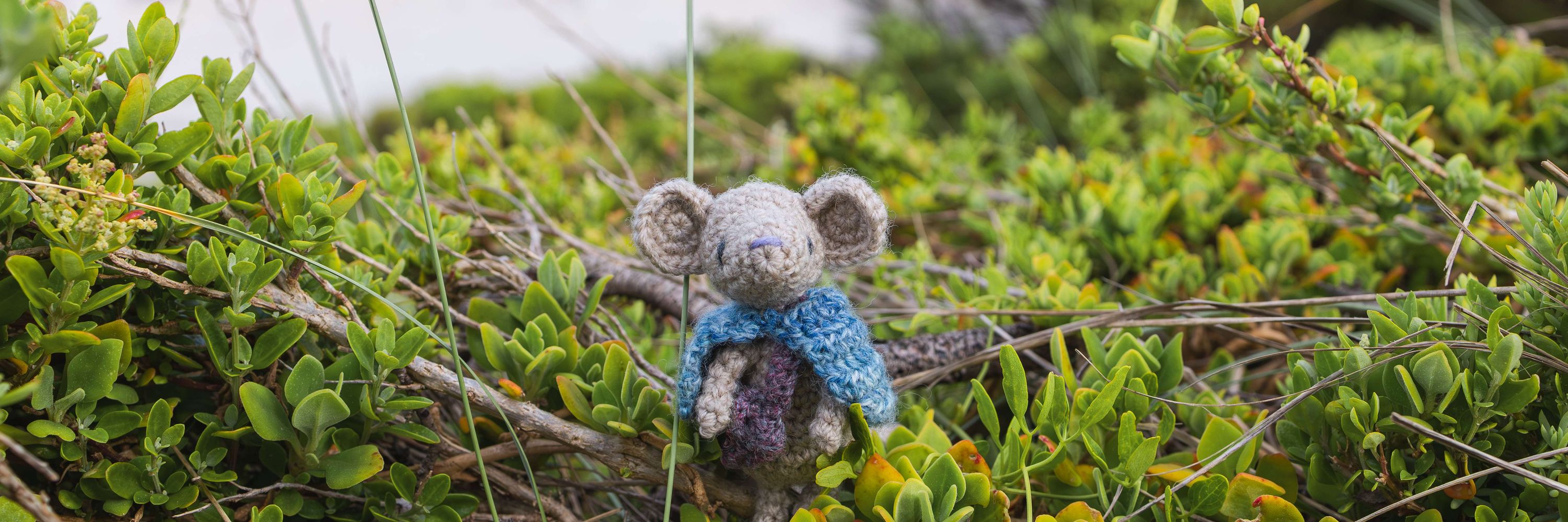 Little Seal Designs | Unique Amigurumi Crochet Patterns