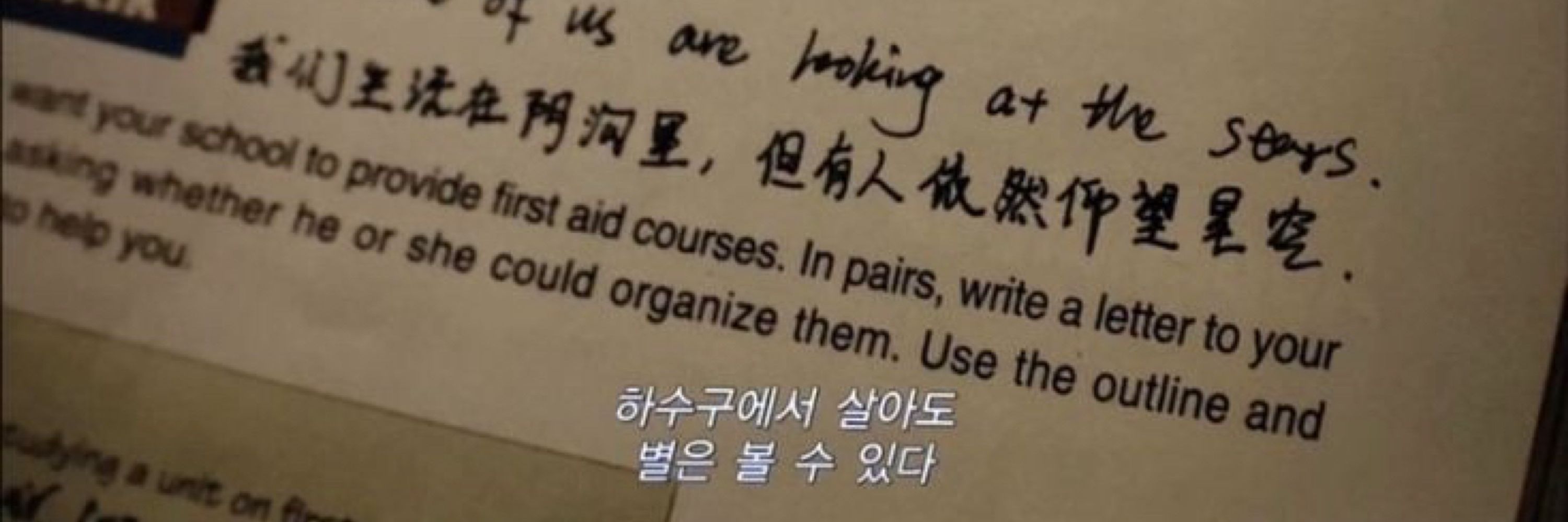 작은별🍄🌿