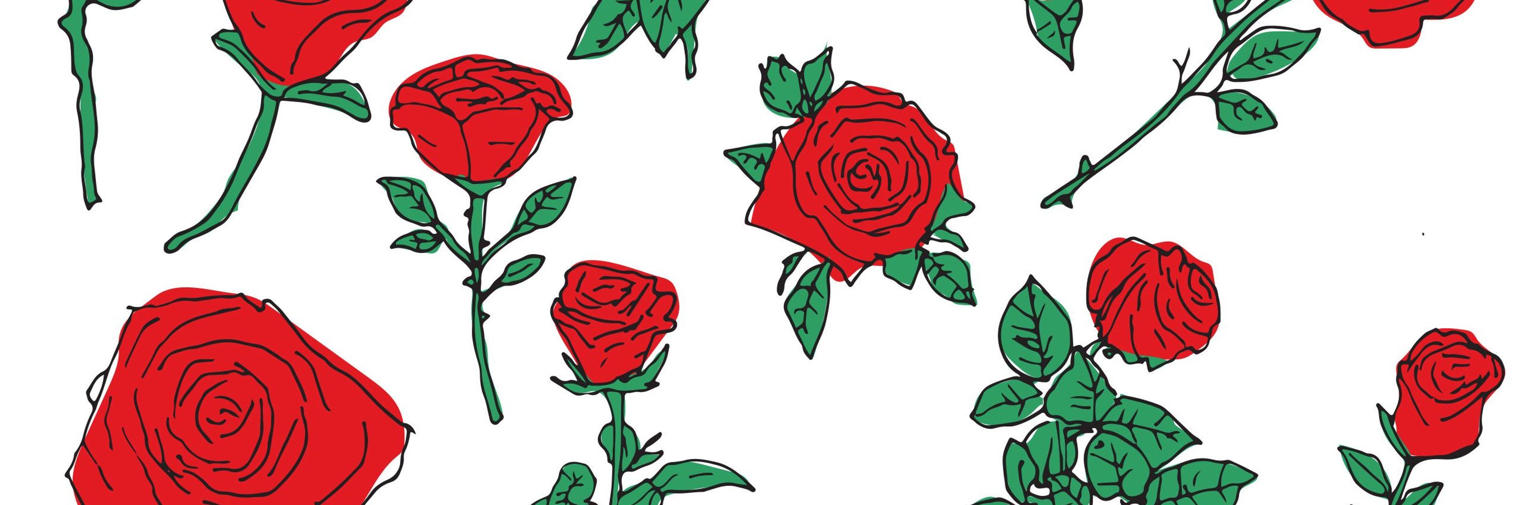 Southeast MN DSA