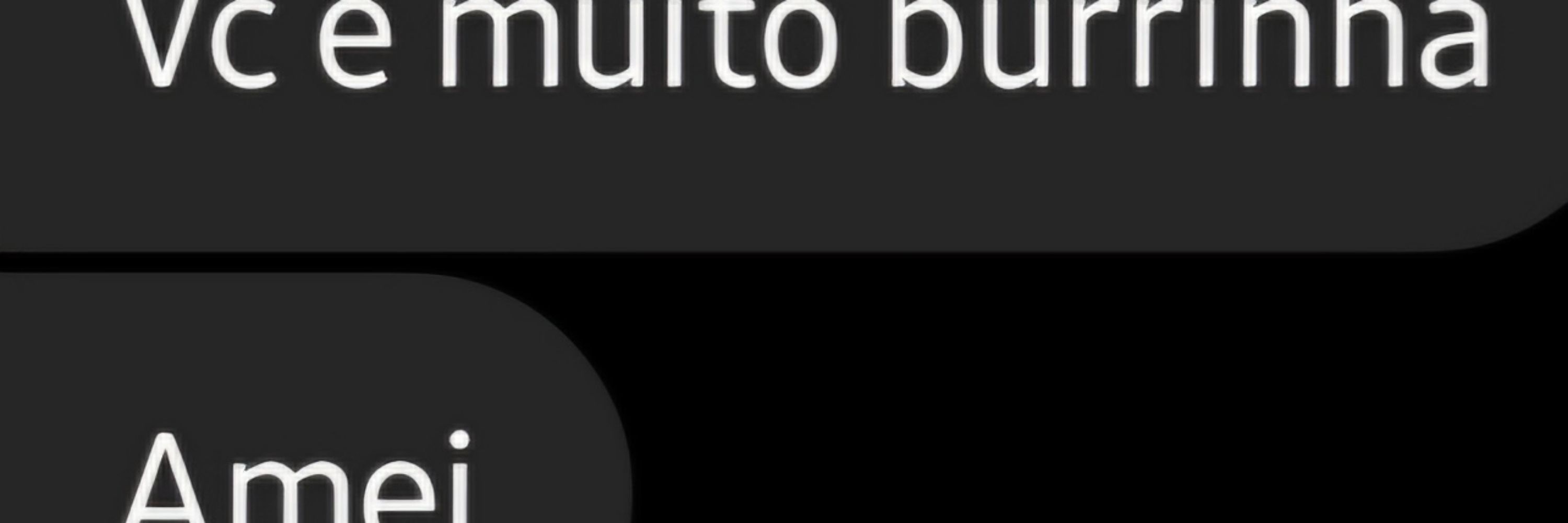 Amo meu time