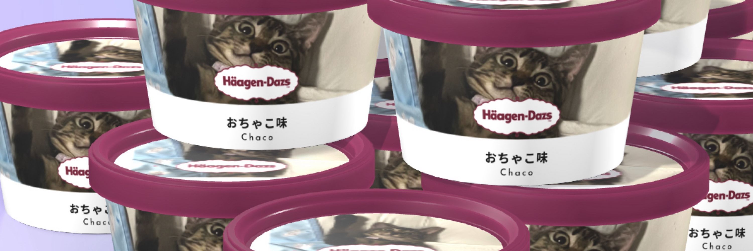 あや