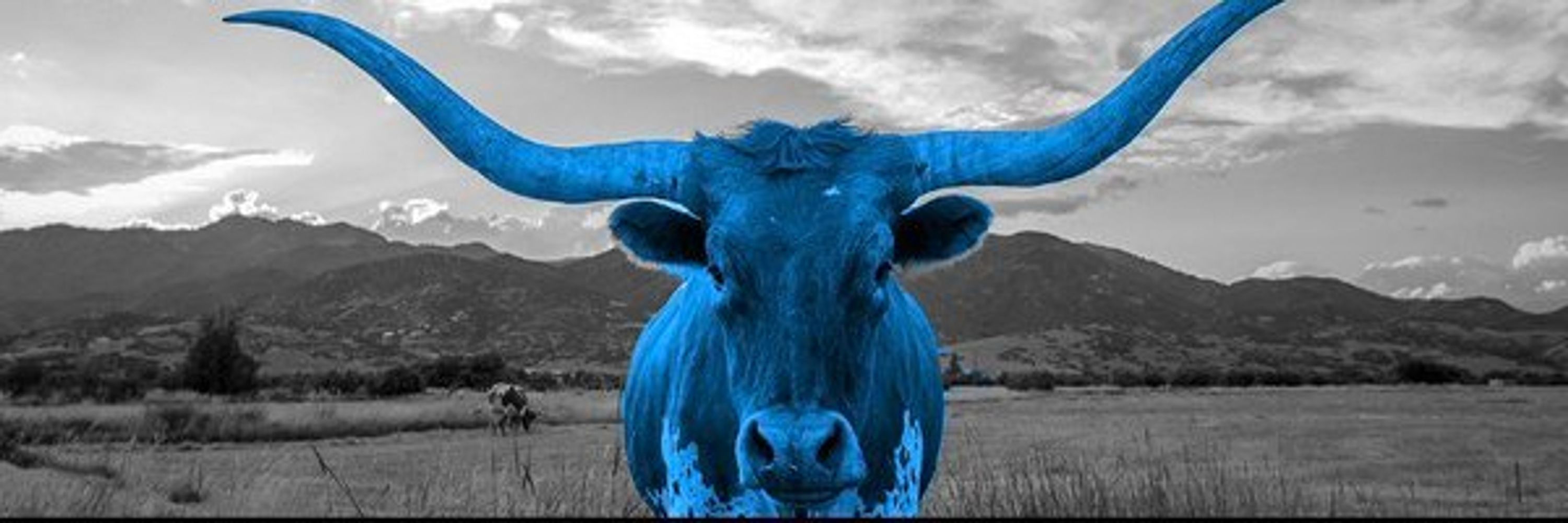 Blue Texas