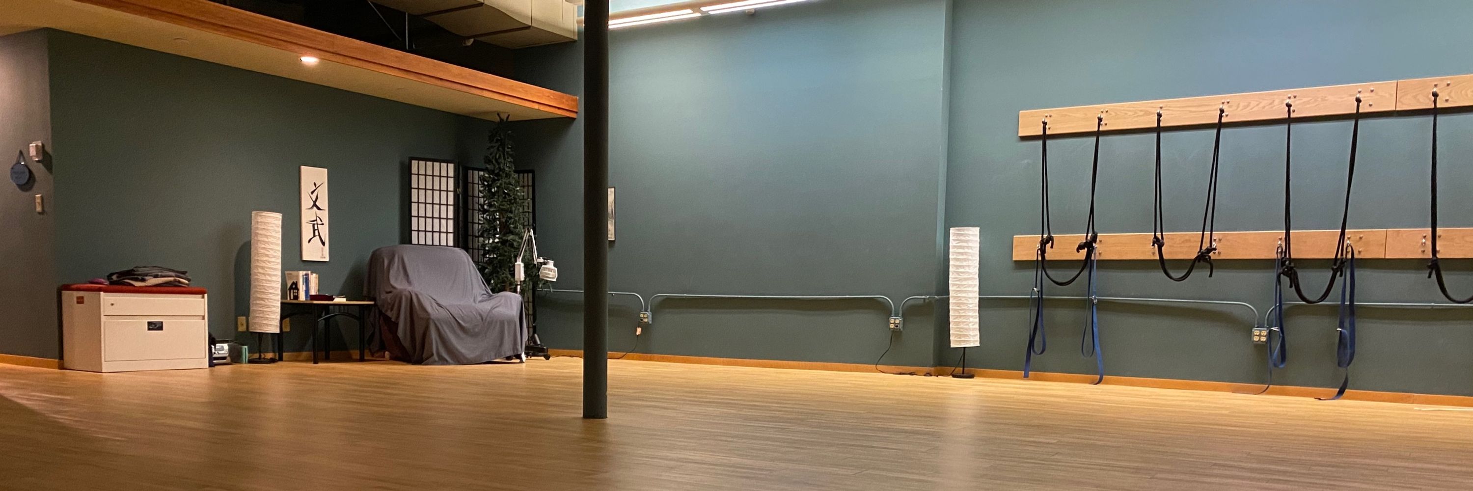 Healing Within Acupuncture & Wellness Studio