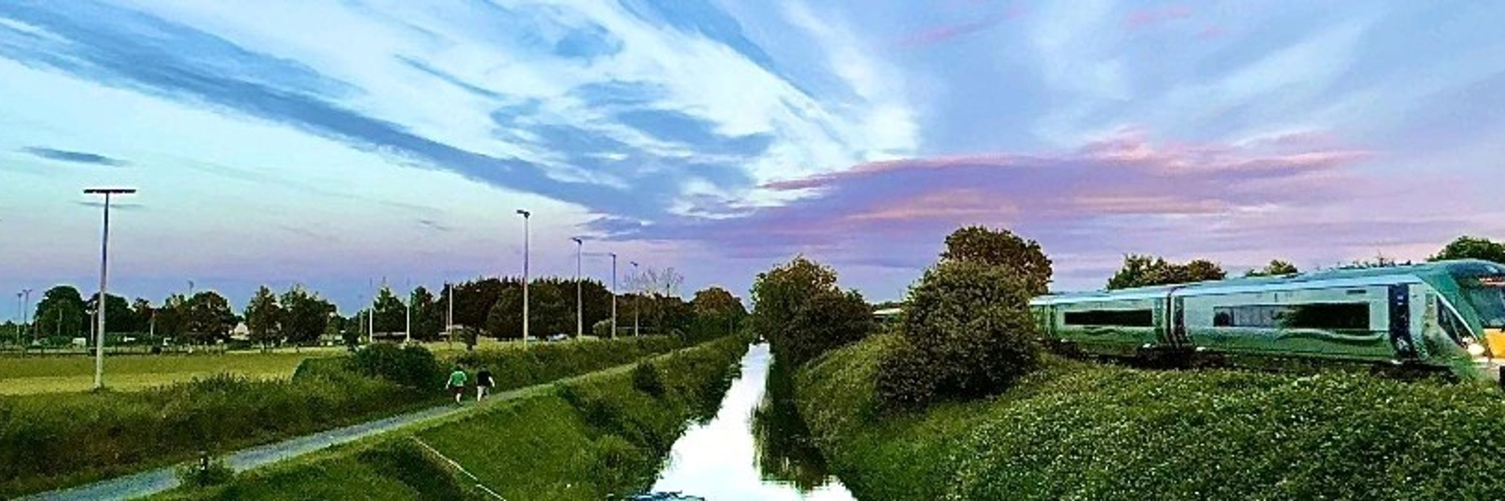Ruadháin Bonham