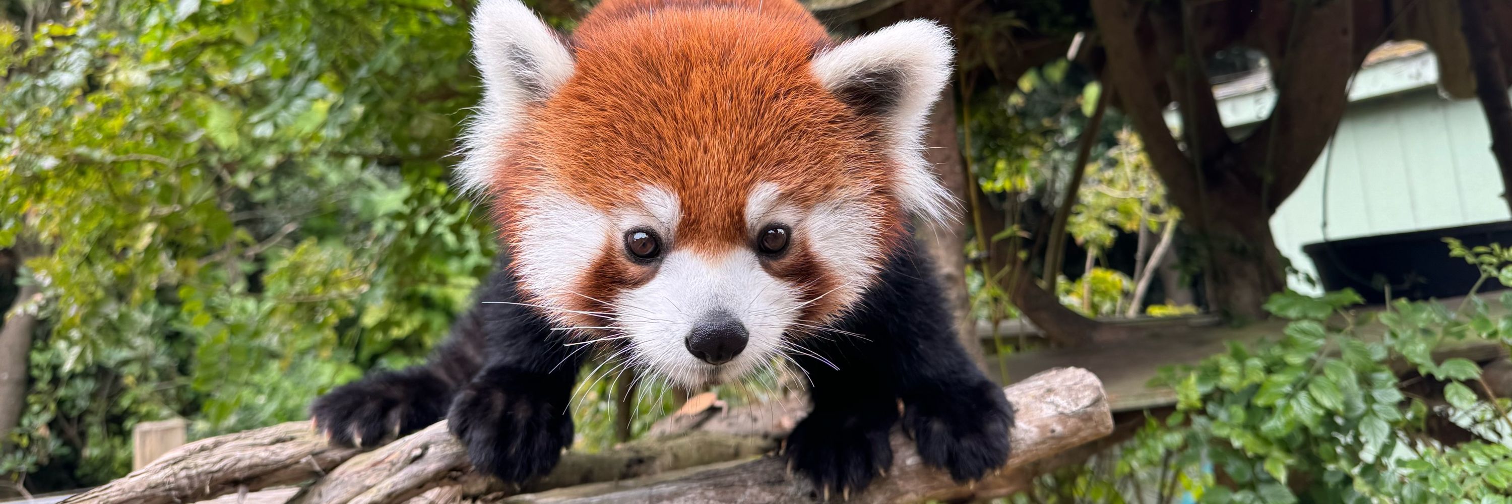 San Francisco Zoo & Gardens