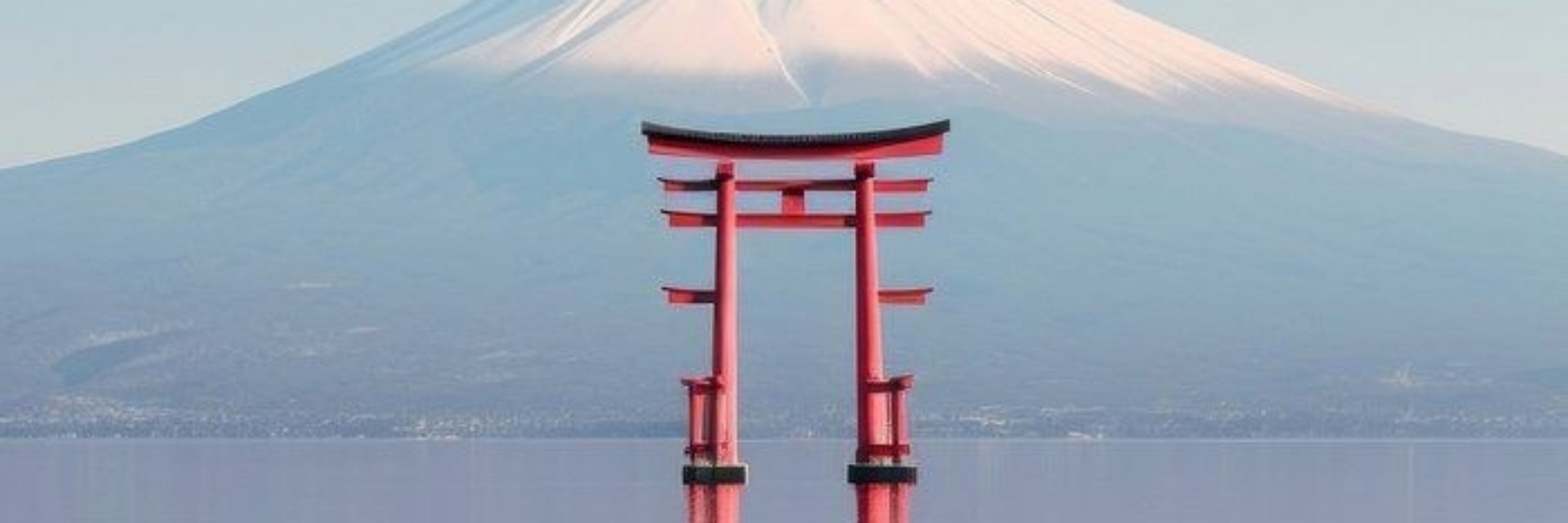 tako